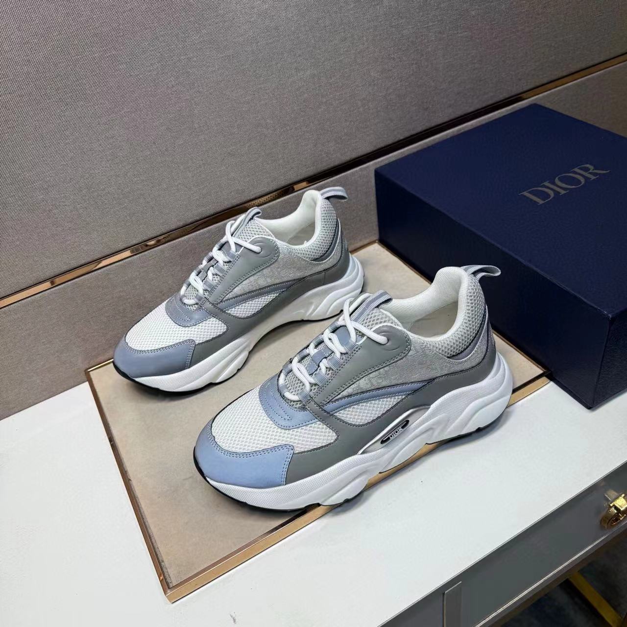 Dior B22 – Gris / Blanco