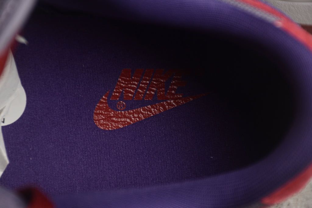 Dunk SB – Lila / Rojo