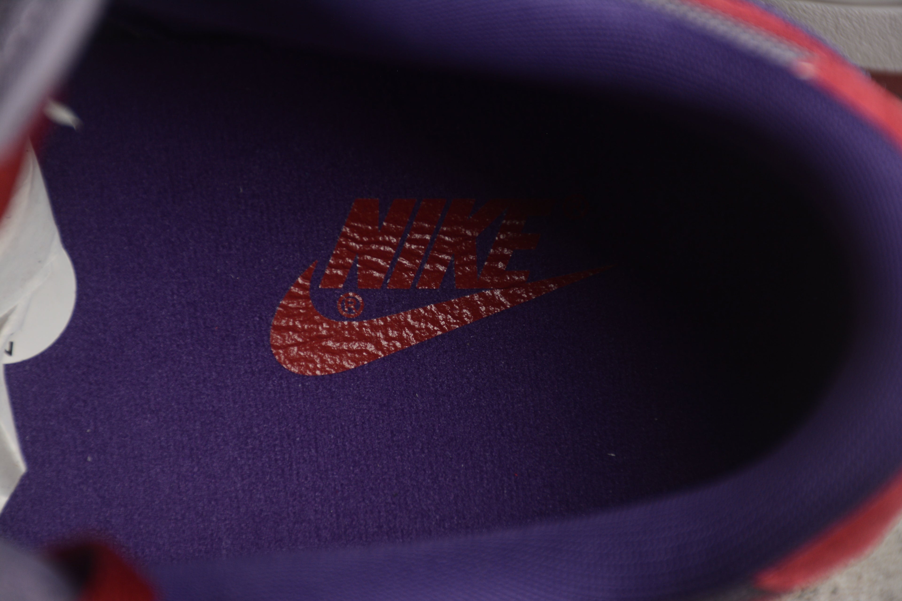 Dunk SB – Lila / Rojo