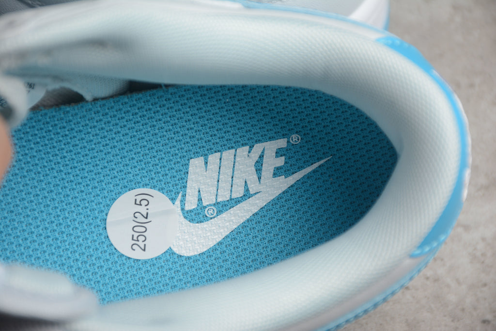 Dunk SB – Gris / Azul