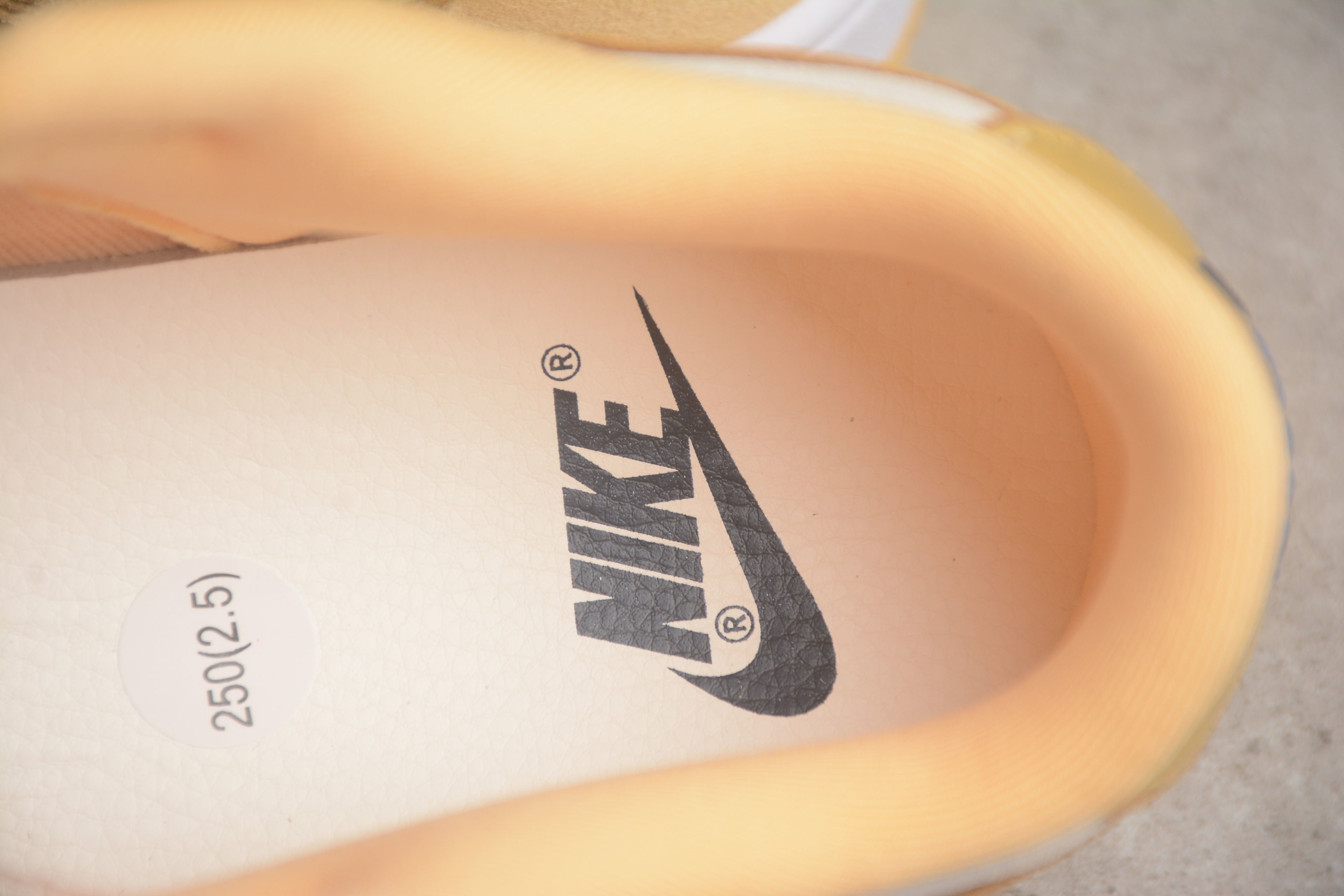 Dunk SB – Tonos de Beigie