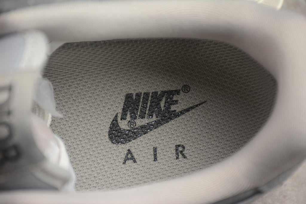 Air Force 1 Low – Dior Gris