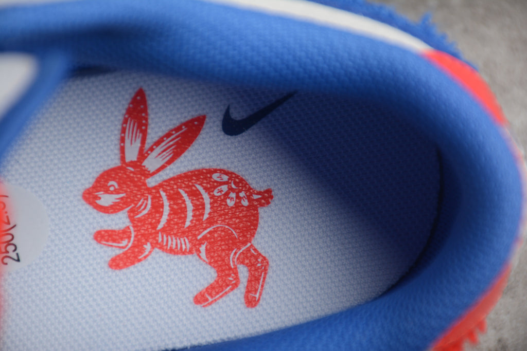 Dunk SB – Gris / Azul / Rojo