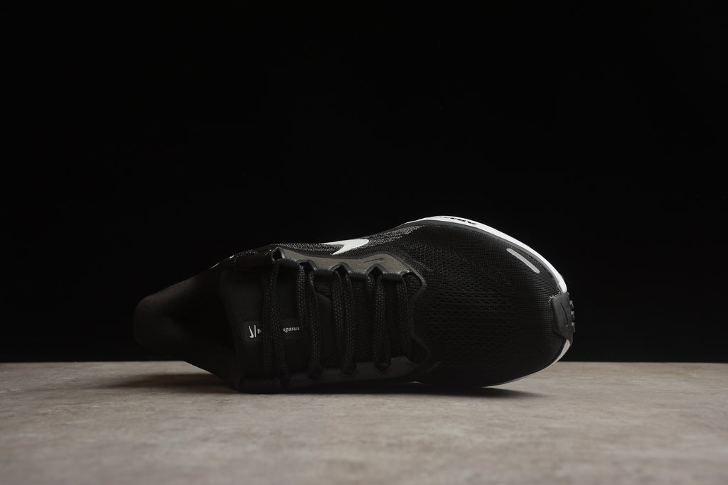 Pegasus 41 – Negro / Blanco