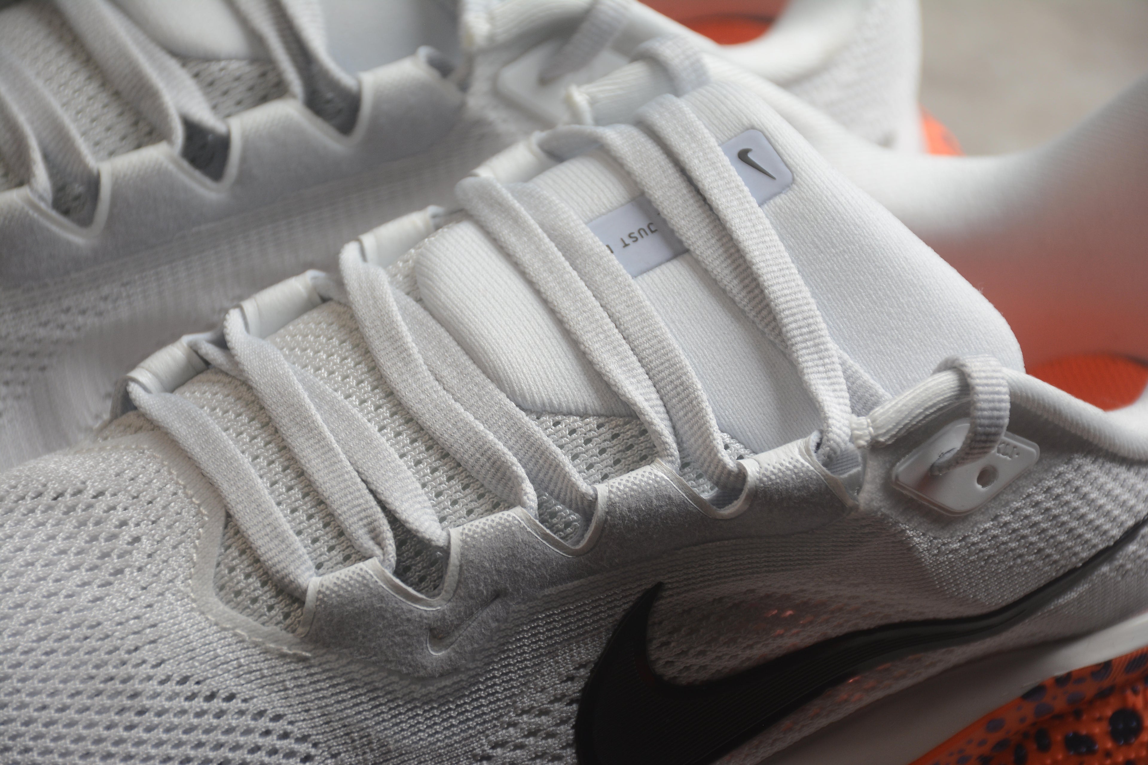 Pegasus 41 – Blanco / Rosa