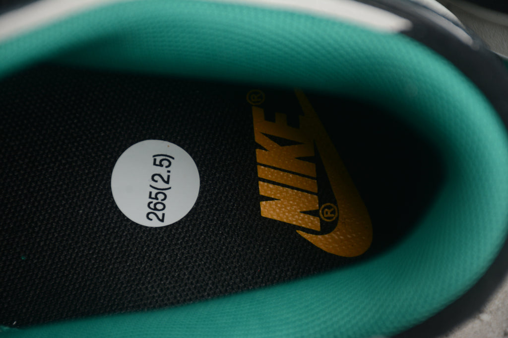 Dunk SB – Negro / Gris