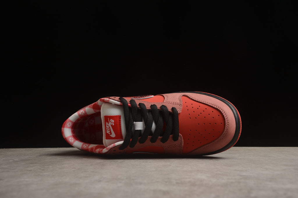Dunk SB – Granate / Negro
