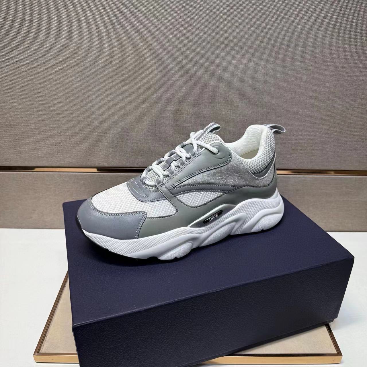 Dior B22 – Gris / Blanco
