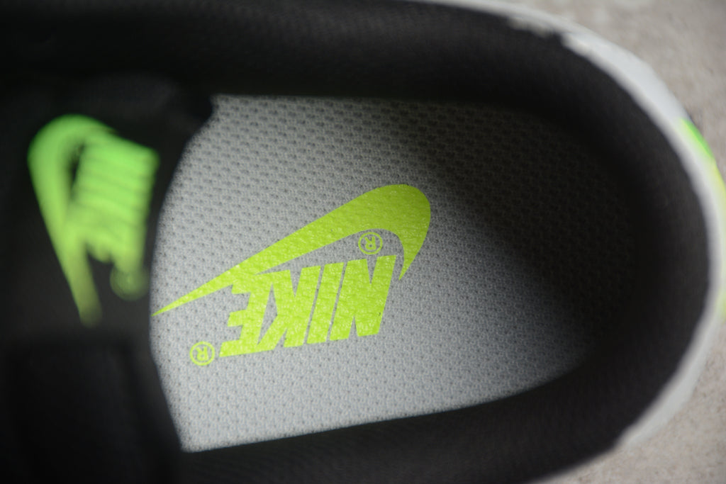 Dunk SB – Gris / Negro