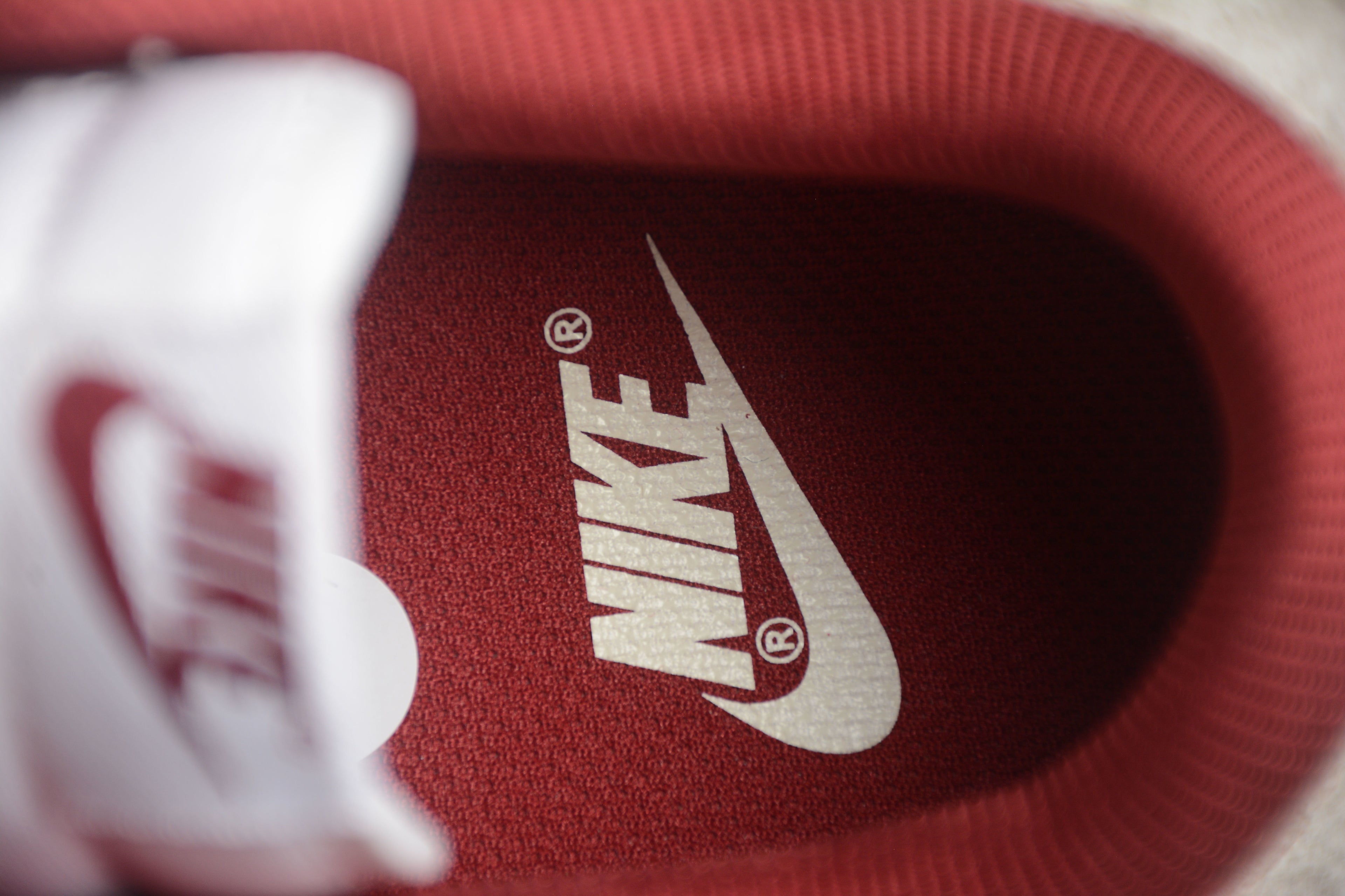 Dunk SB – Rojo / Blanco