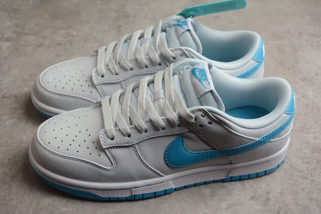 Dunk SB – Gris / Azul