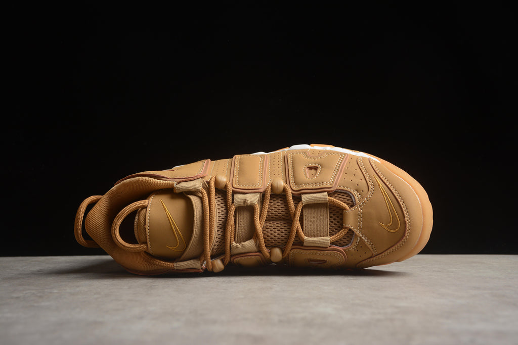 Air More Uptempo – Marrón