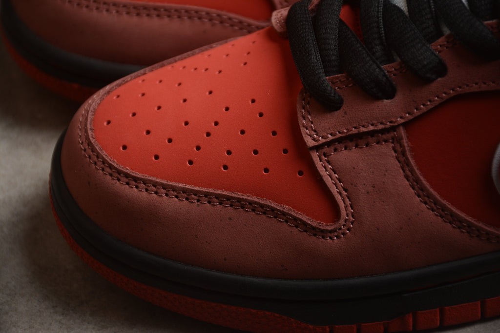 Dunk SB – Granate / Negro