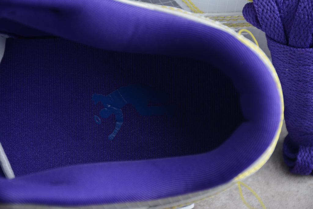 Dunk SB – Blanco / Lila