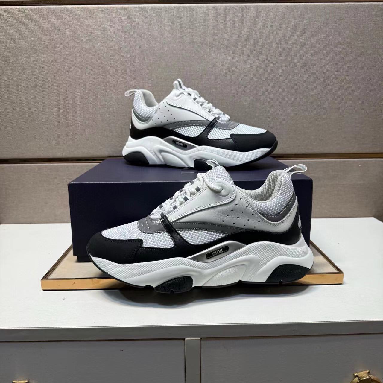 Dior B22 – Blanco / Gris