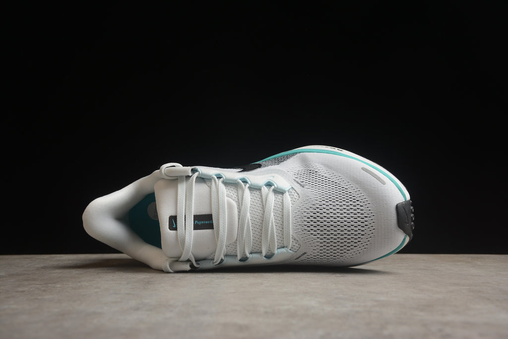 Pegasus 41 – Blanco / Azul