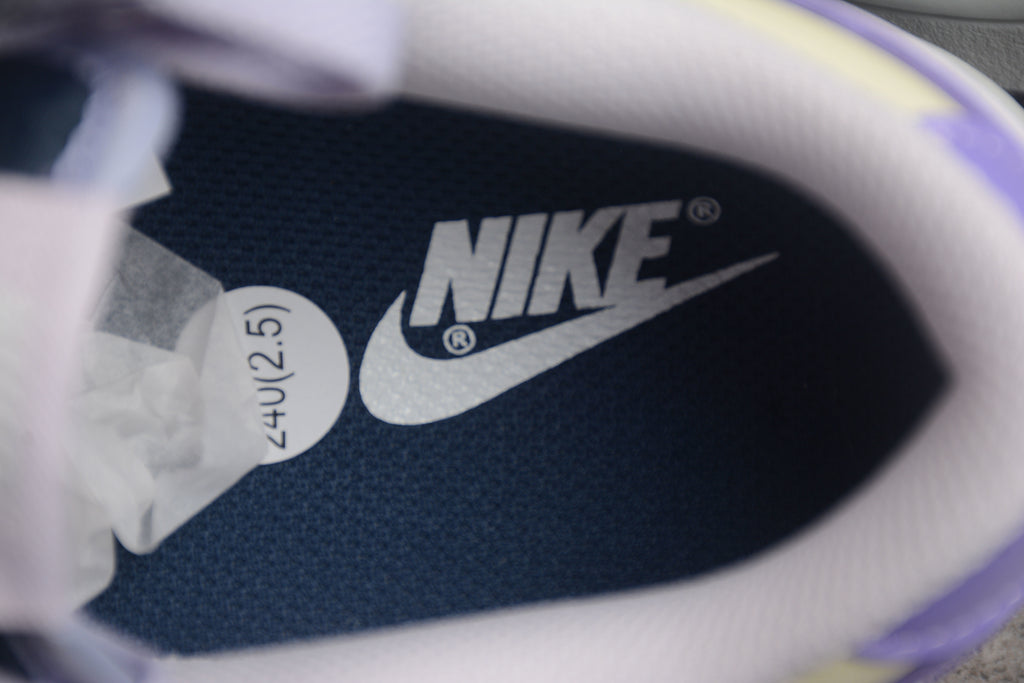 Dunk SB – Gris / Lila / Azul