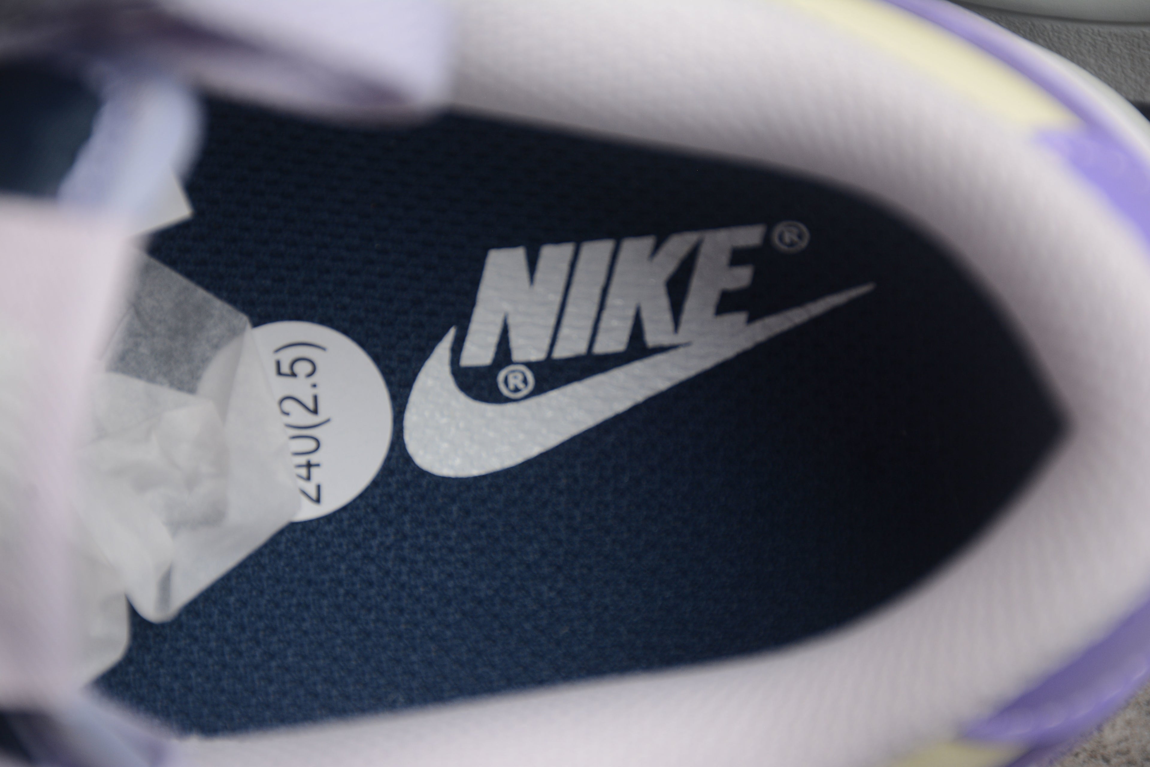 Dunk SB – Gris / Lila / Azul