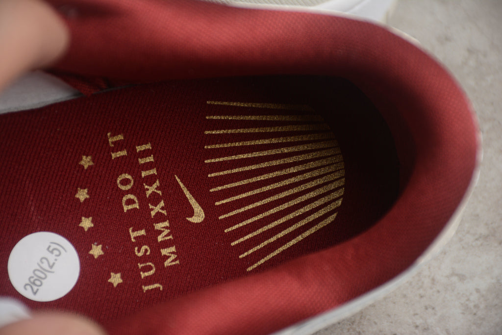 Dunk SB – Beigie / Blanco / Rojo