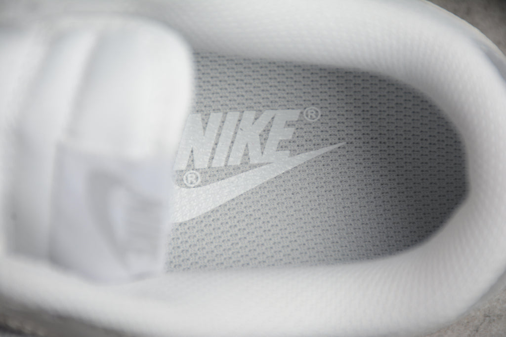 Dunk SB – Gris / Plata