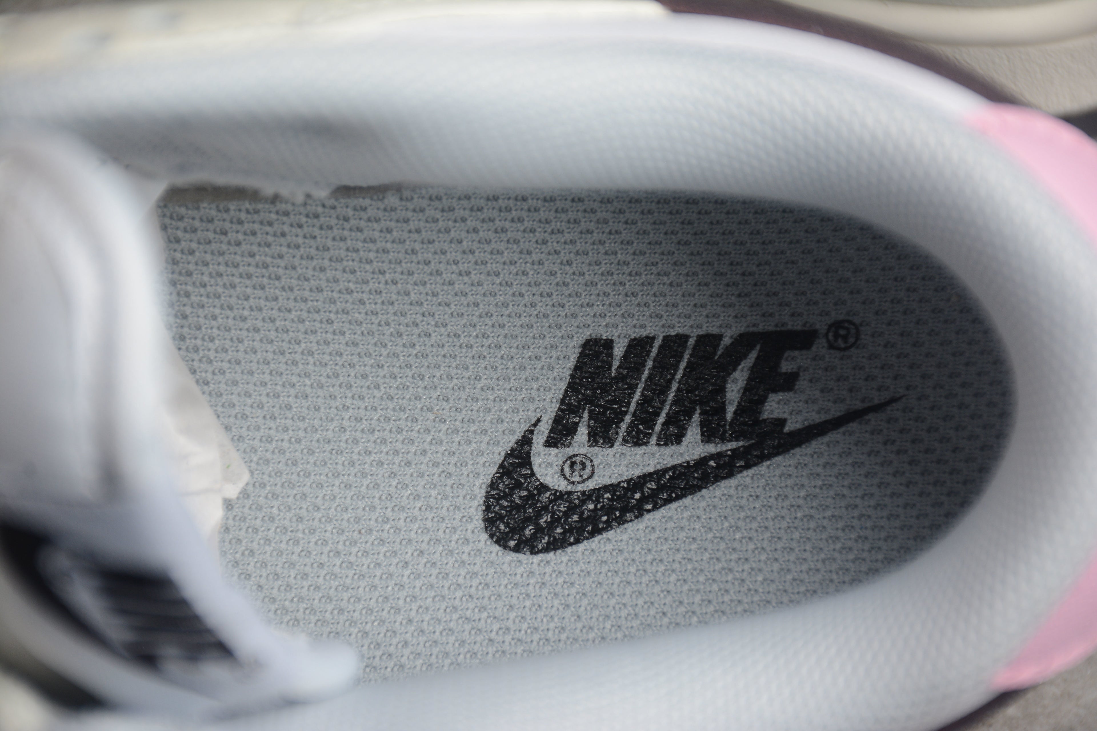 Dunk SB – Beigie / Blanco / Marrón