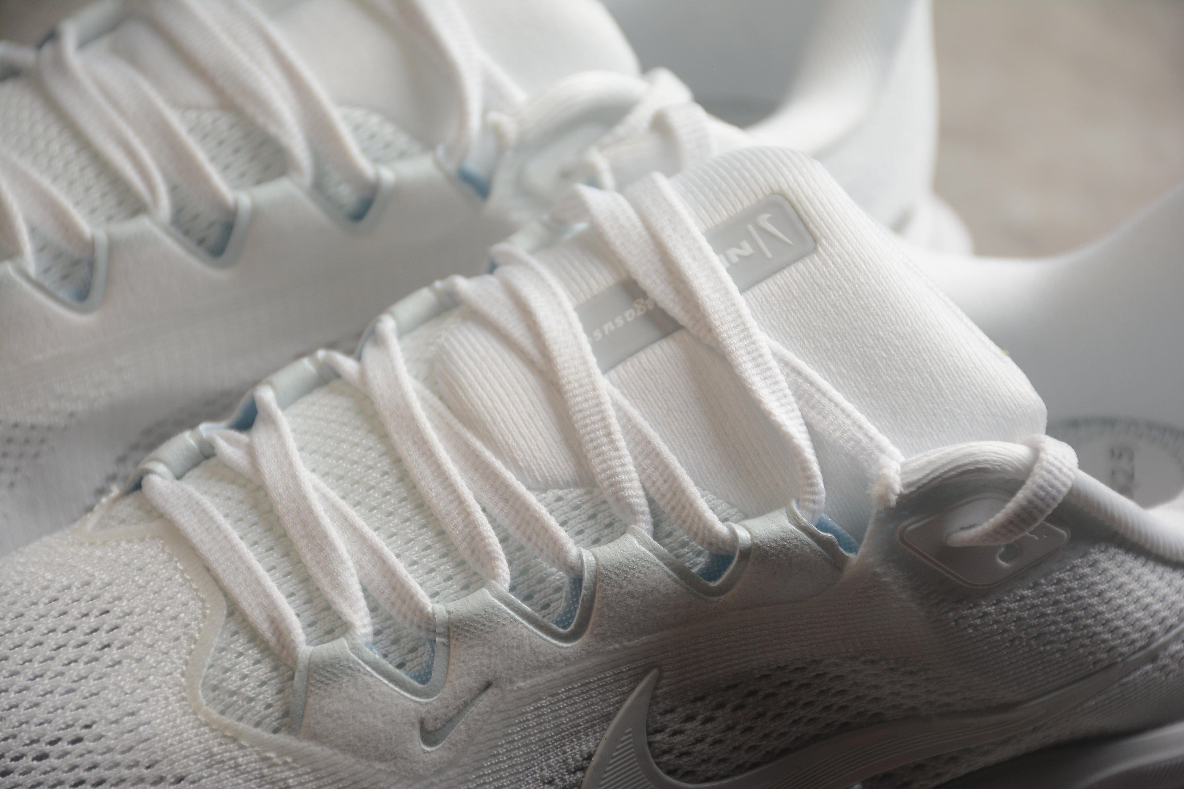 Pegasus 41 – Blanco